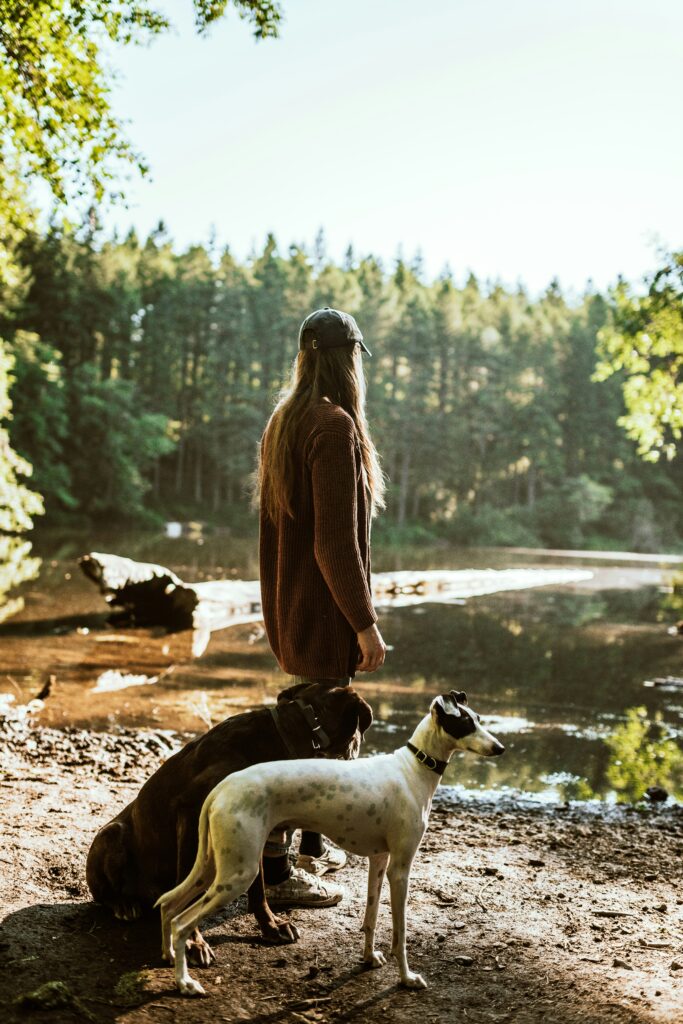 activité physique chien outdoor
